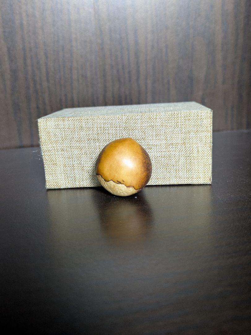 根付 1 栗 ストラップ 提げとしても ぶらり 鹿の角 鹿角 蝦夷鹿