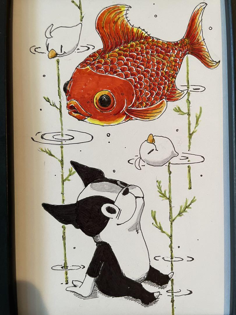 ボストンテリア金魚赤手描きイラスト原画 - メルカリ