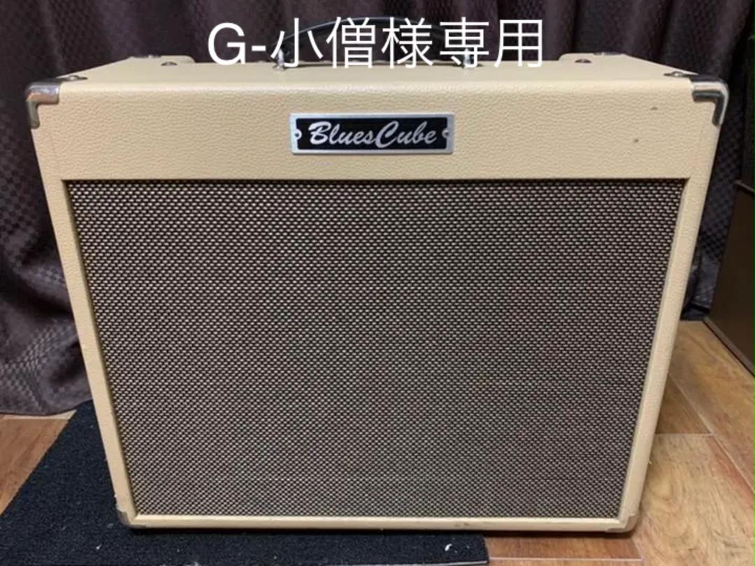 ROLAND ( ローランド ) Blues Cube Stage