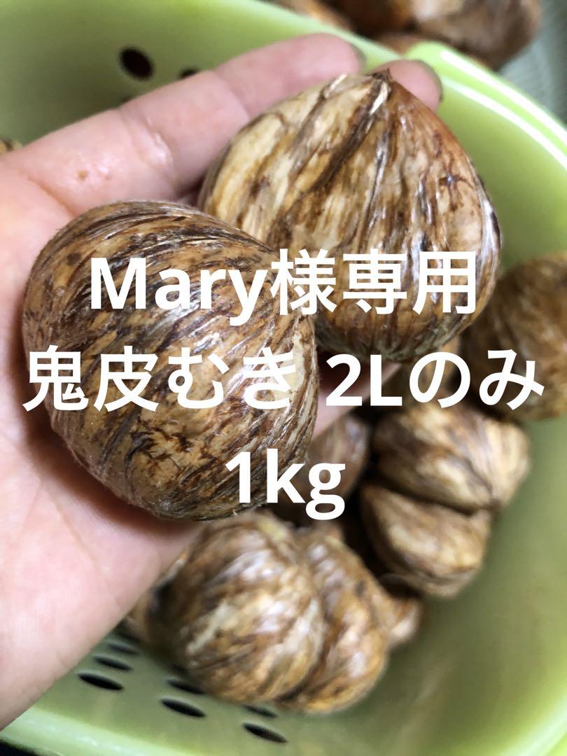 Mary様専用 鬼皮むき 2L 1kg 茨城県産 栗