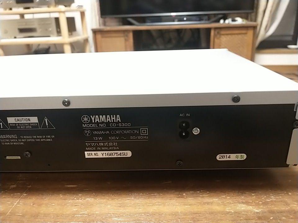 CD-S300