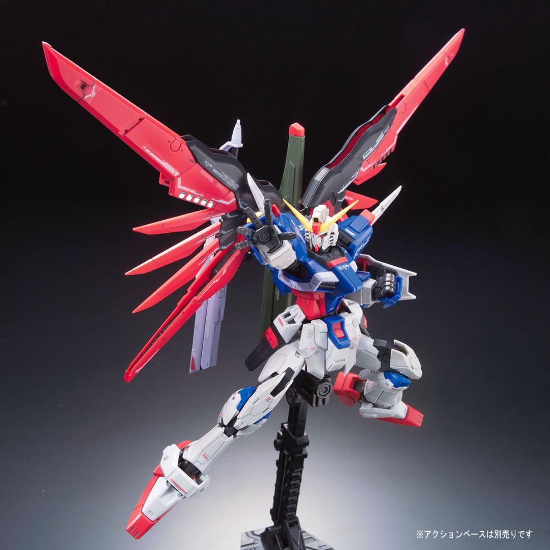 2品セット】RG GP01Fb フルバーニアン／デスティニーガンダム【新品
