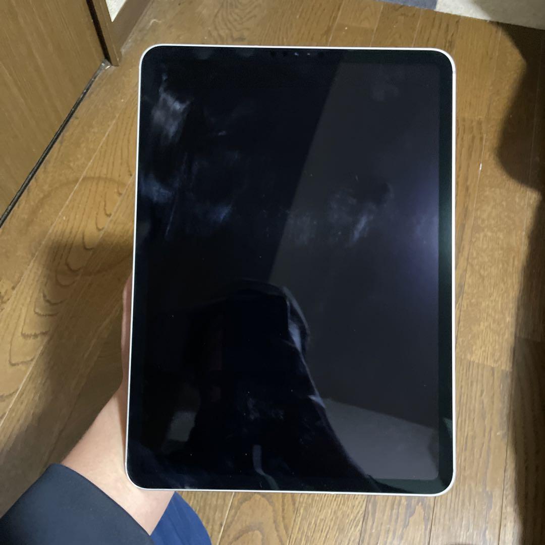 iPad本体 Ipad pro (11-inch)