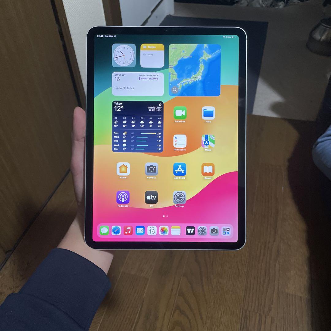 iPad本体 Ipad pro (11-inch)
