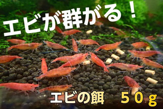 エビの餌 50g えさ 動物性73 植物性27 シュリンプ餌 えびのエサ メルカリ