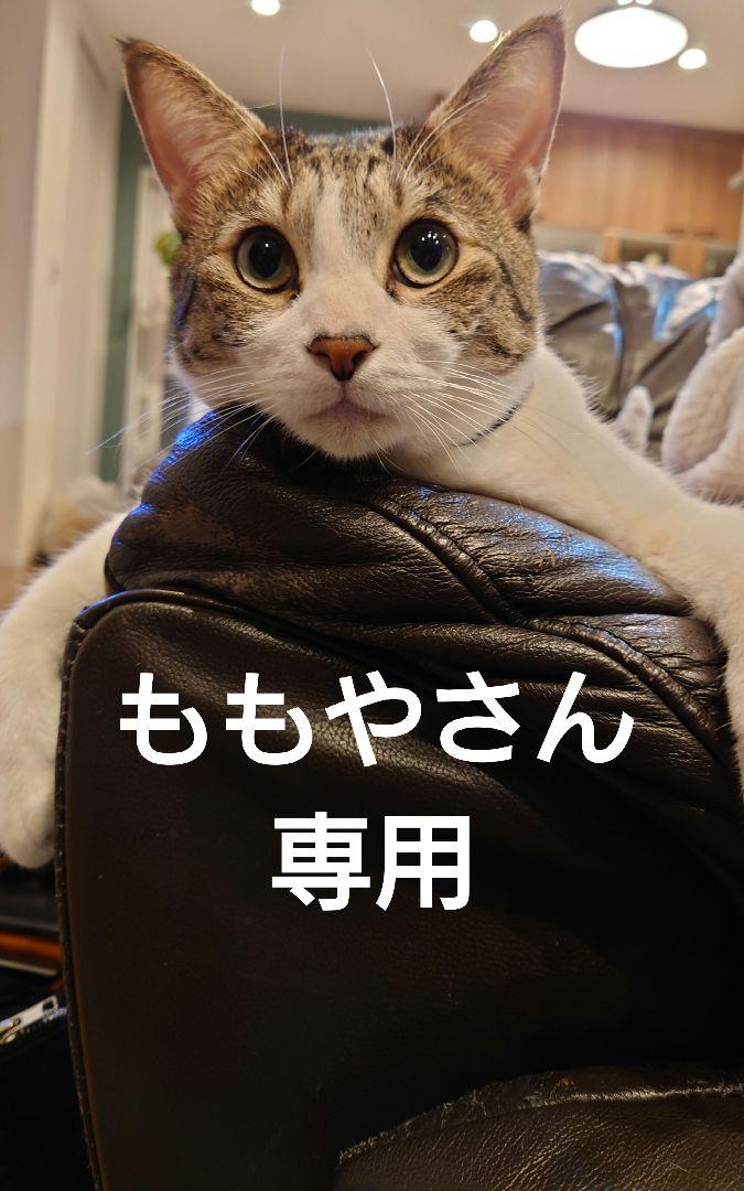有栖川有栖