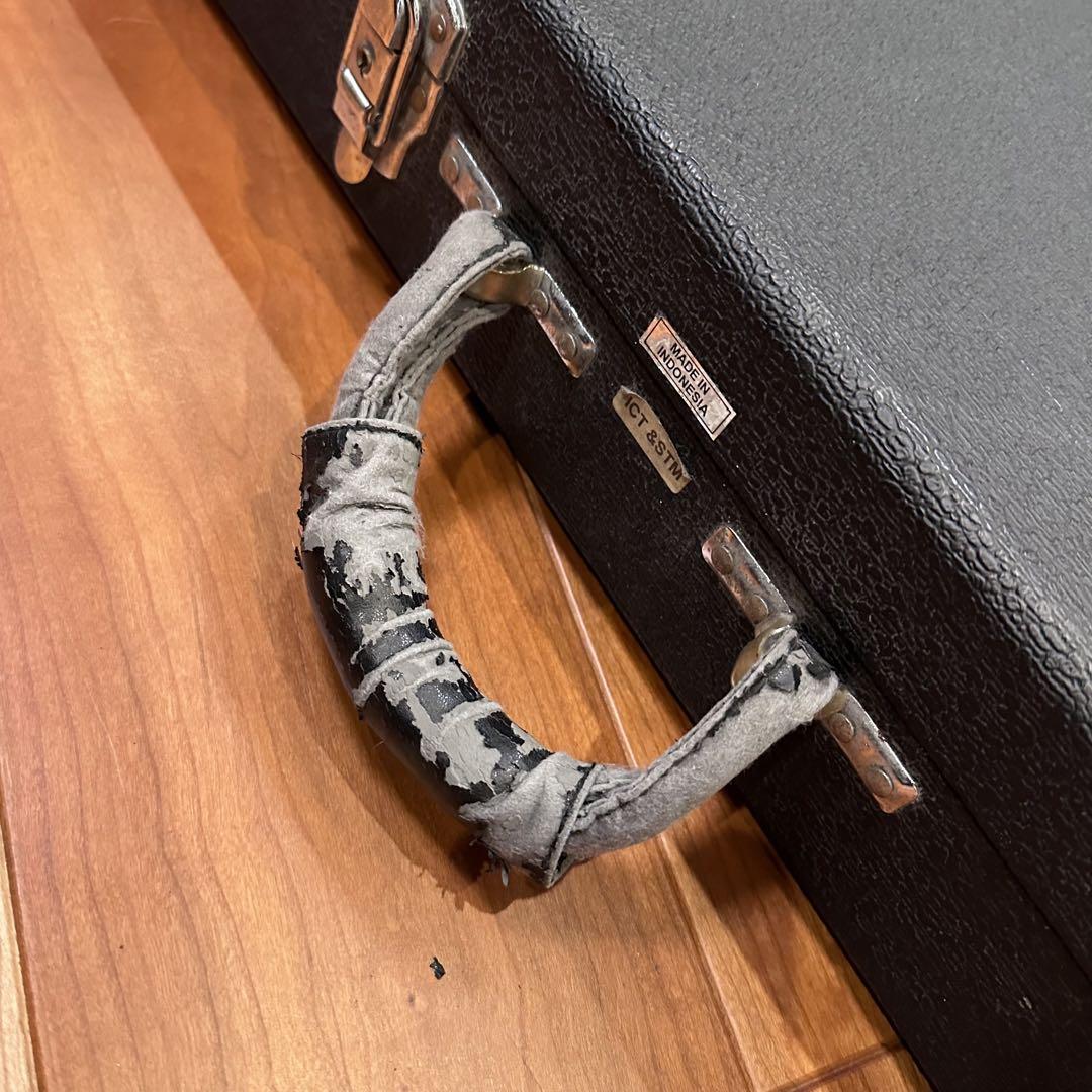Ibanez STM2  Sam Totman エレキギター アイバニーズ