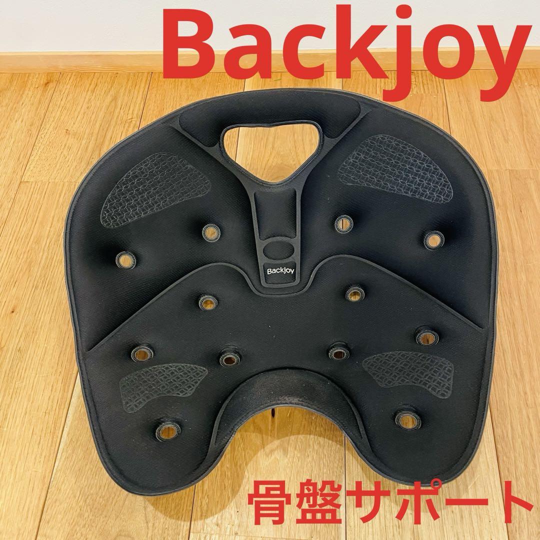 MTGボディメイクシートスタイルと寝るだけ骨盤スタイル枕 Style ボディメイクシート スタイル （Body Make Seat Style