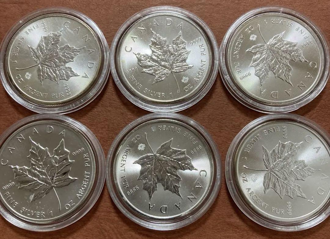 メイプルリーフ銀貨 1オンス 6枚