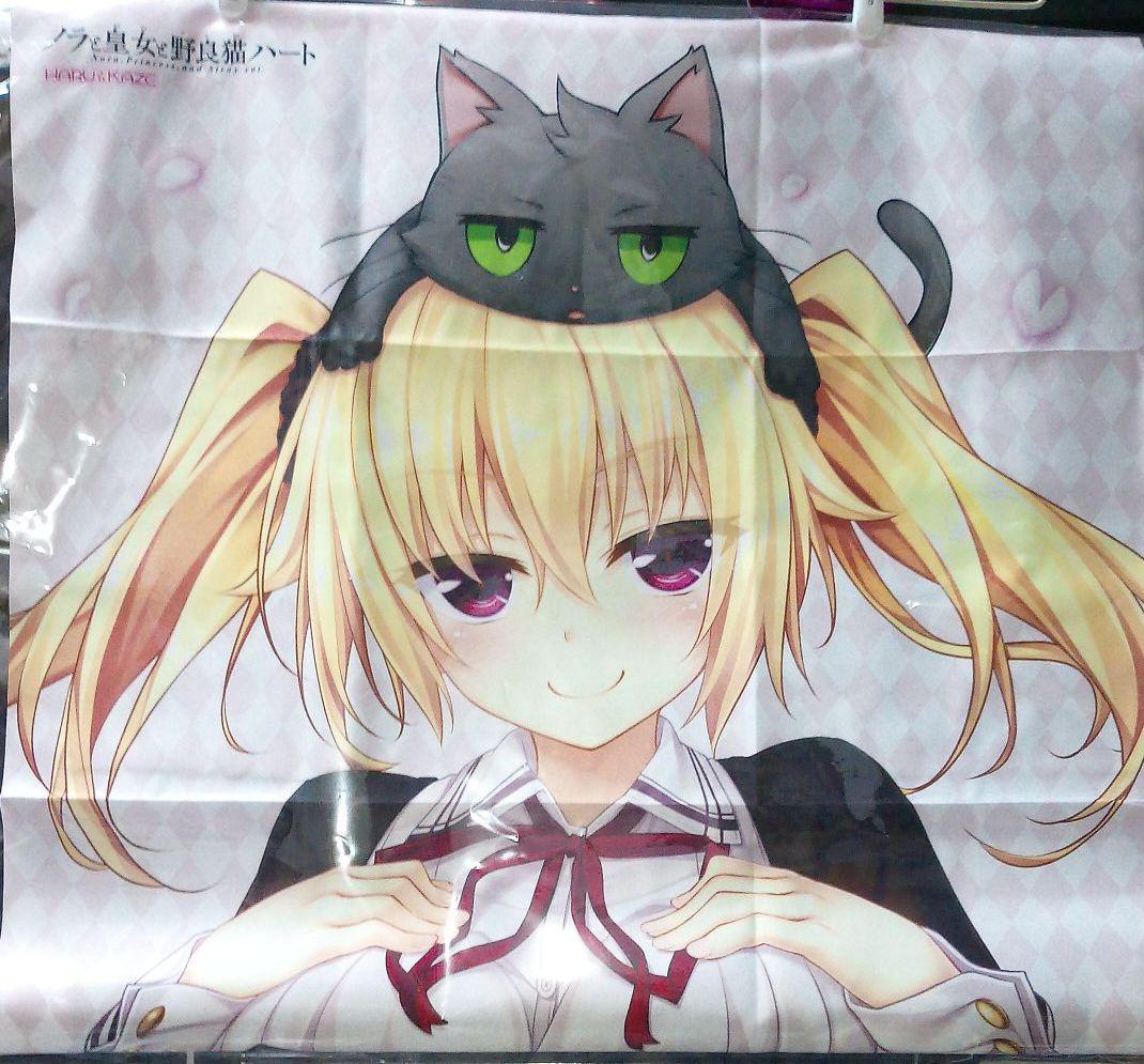 メルカリ ノラと皇女と野良猫ハート 大空樹 はと タペストリー コミック アニメグッズ 1 600 中古や未使用のフリマ