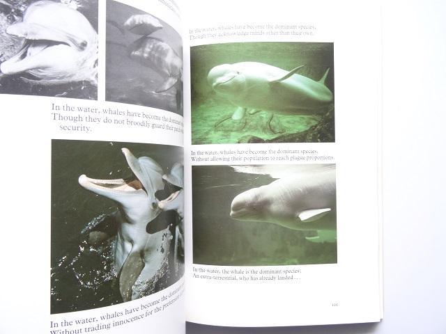 メルカリ 洋書 クジラの資料集 本 鯨 捕鯨 動物 4 500 中古や未使用のフリマ