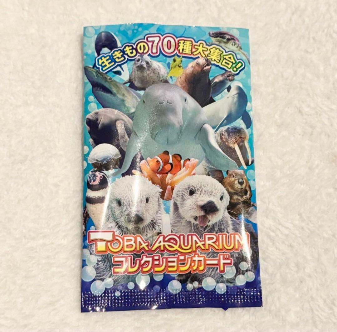 ちゃおママ様専用】鳥羽水族館コレクションカード - メルカリ