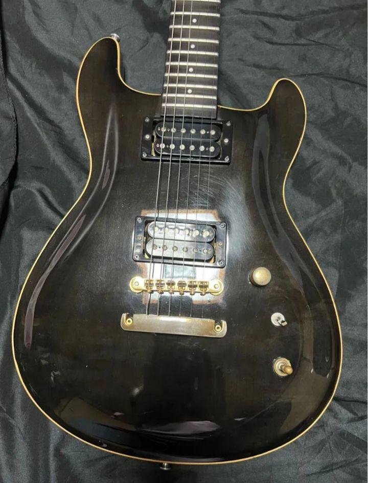 Fernandes＊APG-100