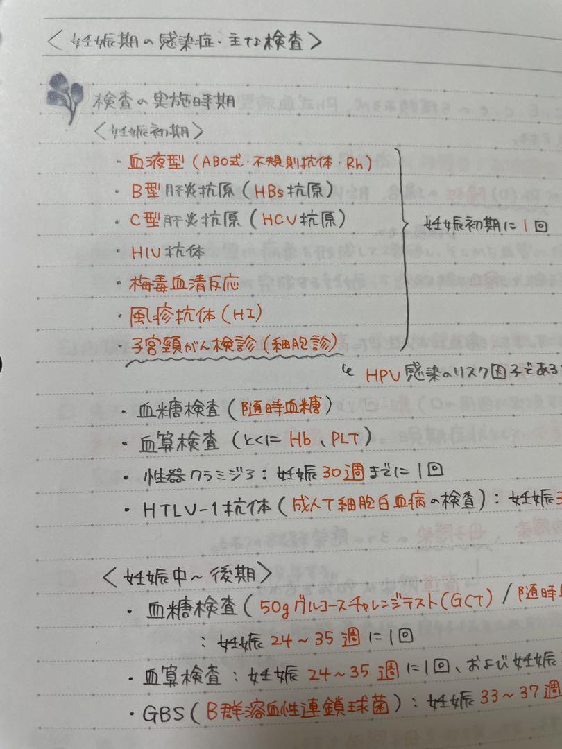 クッキーページ　助産師学校受験対策