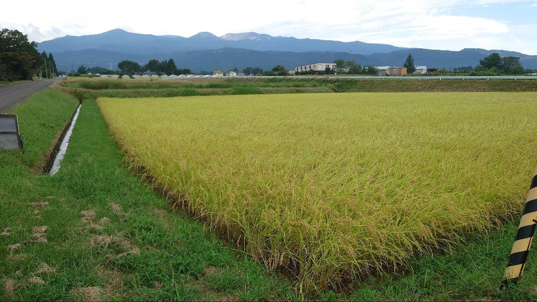 お米　福島県産　コシヒカリ　玄米　令和5年