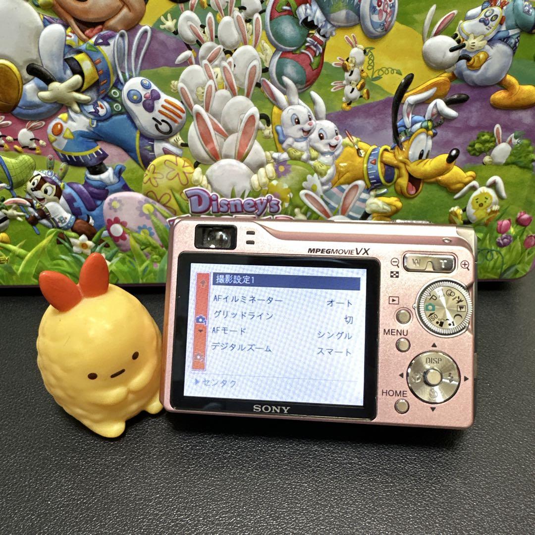 W DSC-W80