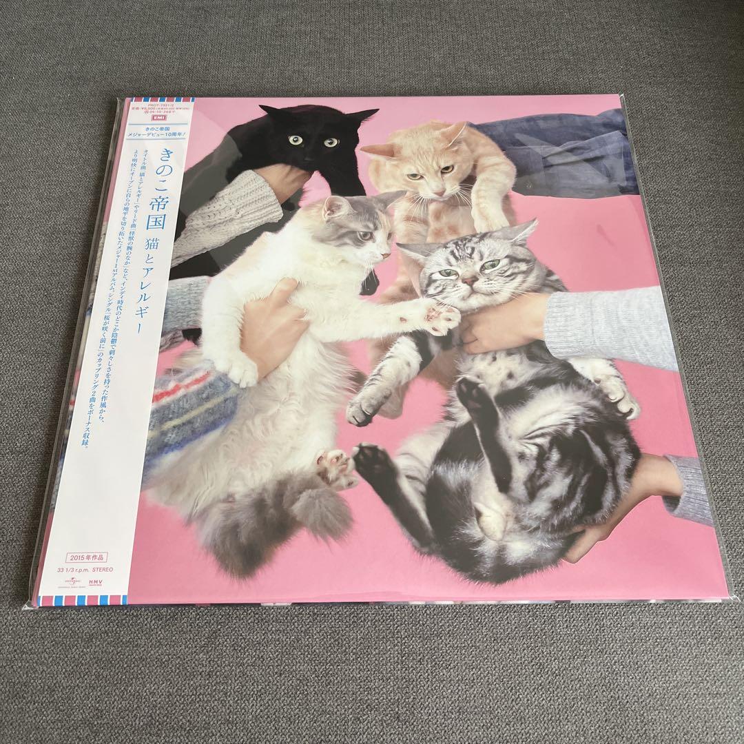 きのこ帝国 / LP