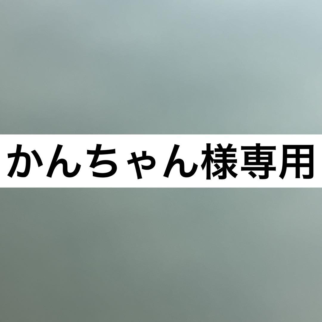 かんちゃん様専用