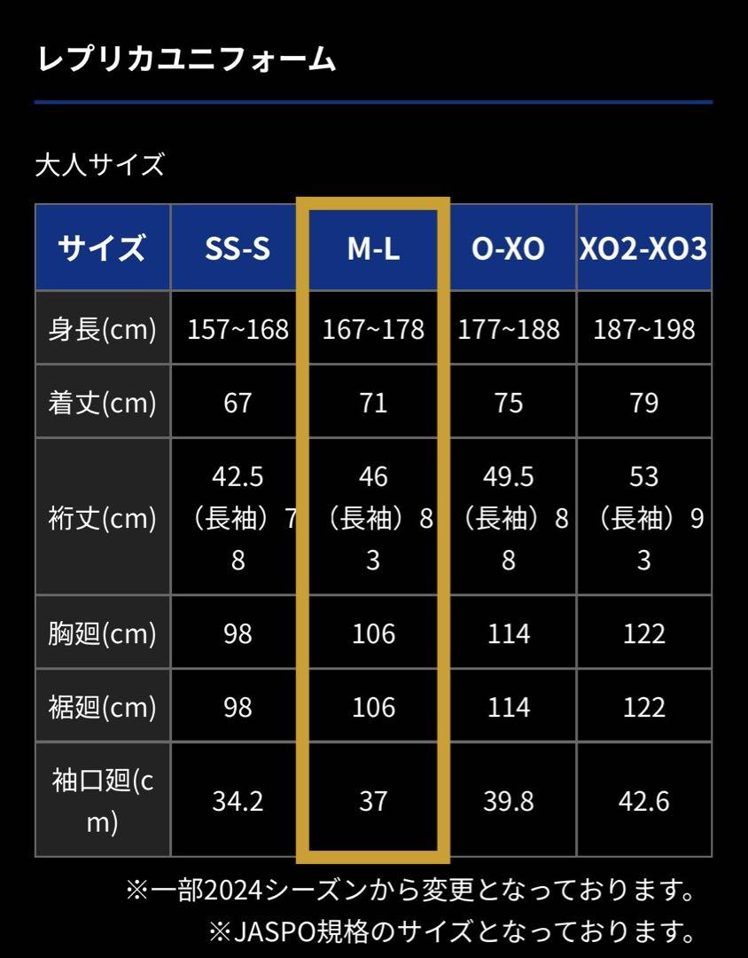 ガンバ大阪 2025 ユニフォーム #20 中谷進之介 MLサイズ - メルカリ ガンバ大阪 2025 ユニフォーム #20 中谷進之介 MLサイズ - メルカリ