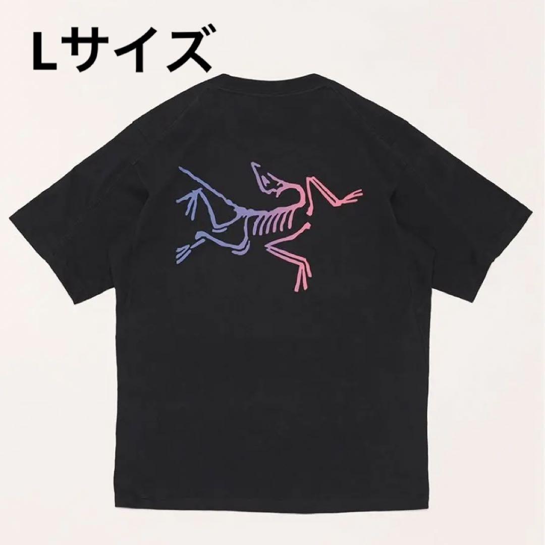 Lサイズ】ARC'TERYX／Kragg Cotton Logo SS M
