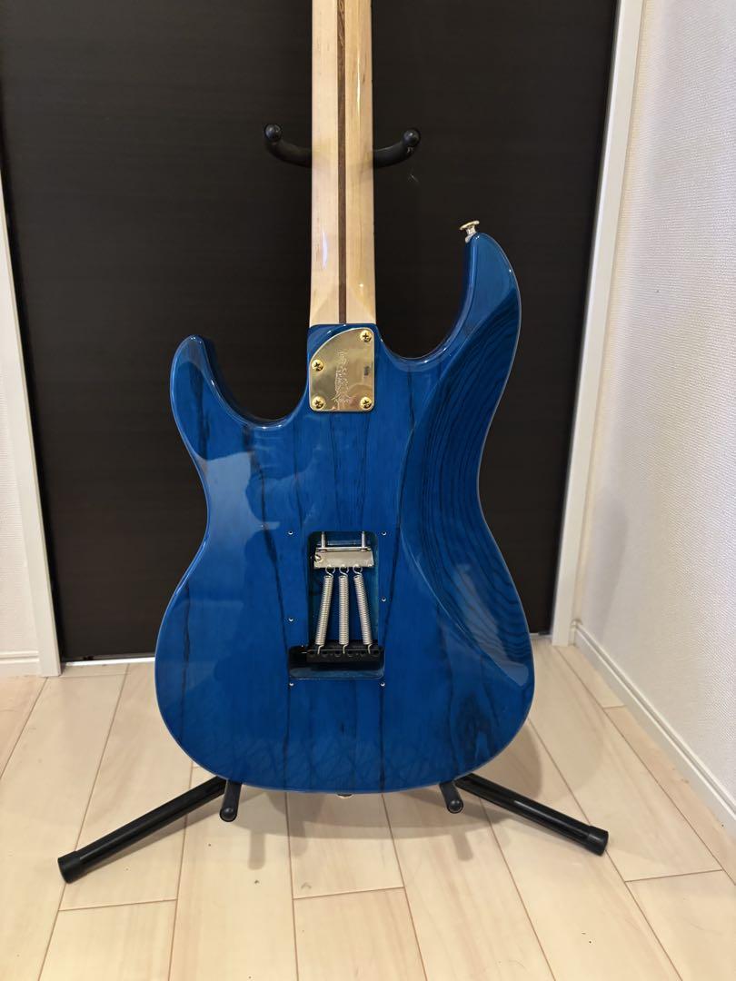 ギター Fujigen EXPERT OS