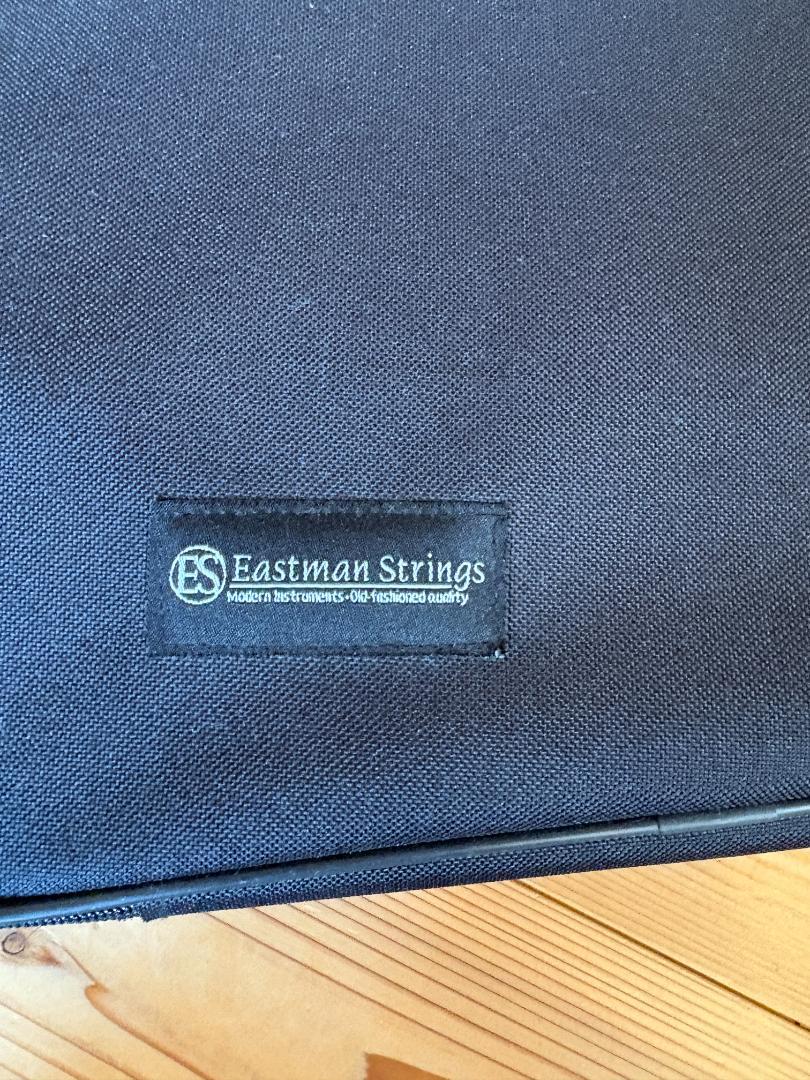 ヴァイオリン Eastman Strings VL80 4/4 2021年