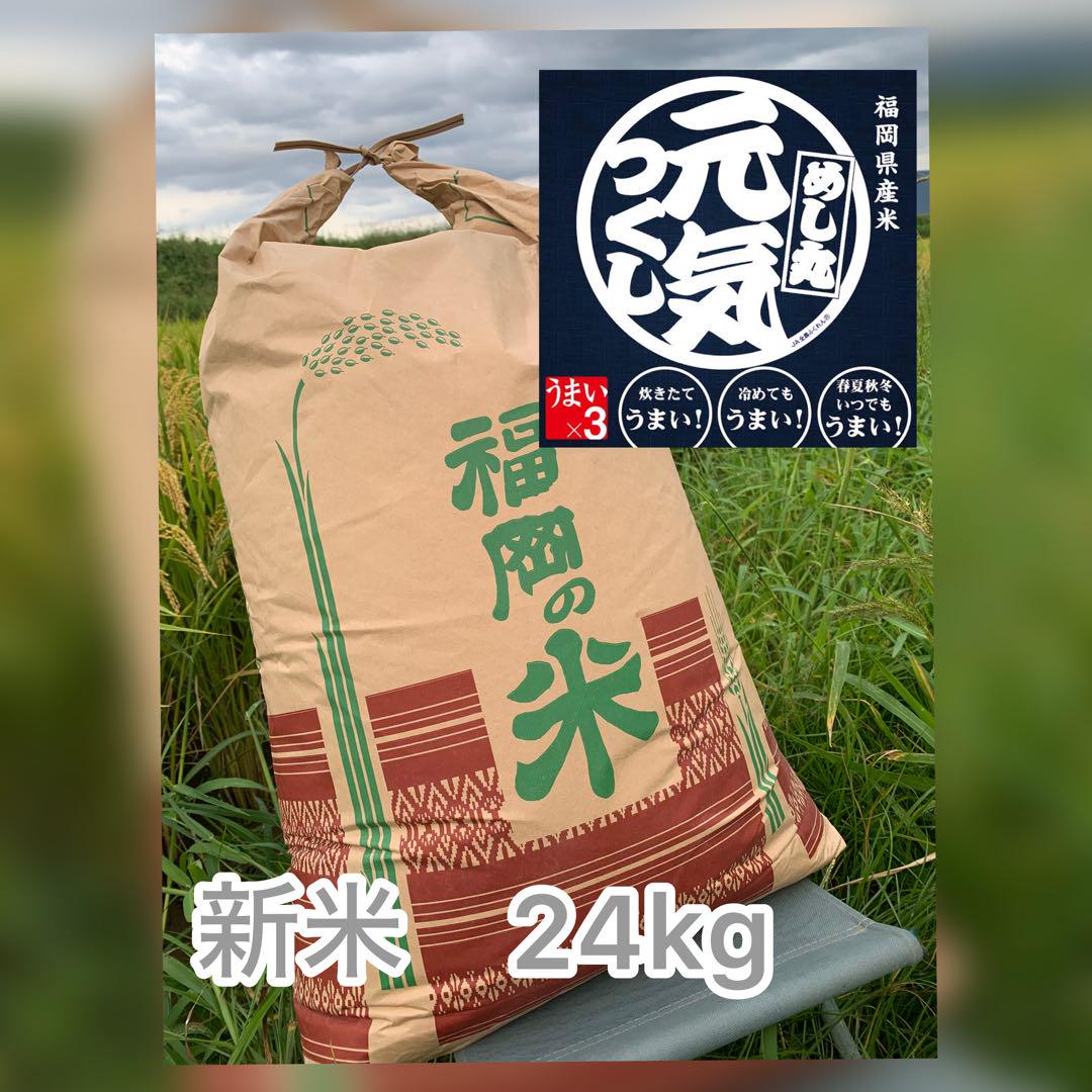 玄米福岡県産　元気つくし　24kg