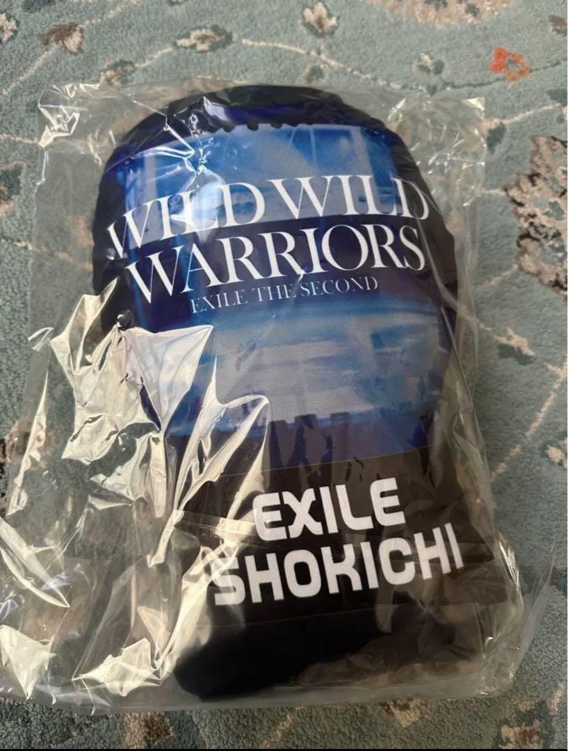 最新最全の EXILE SHOKICHI クッション mandhucollege.edu.mv