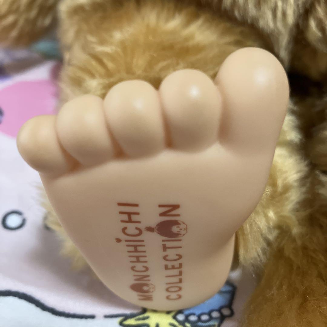 セキグチ ゴールドモンチッチL