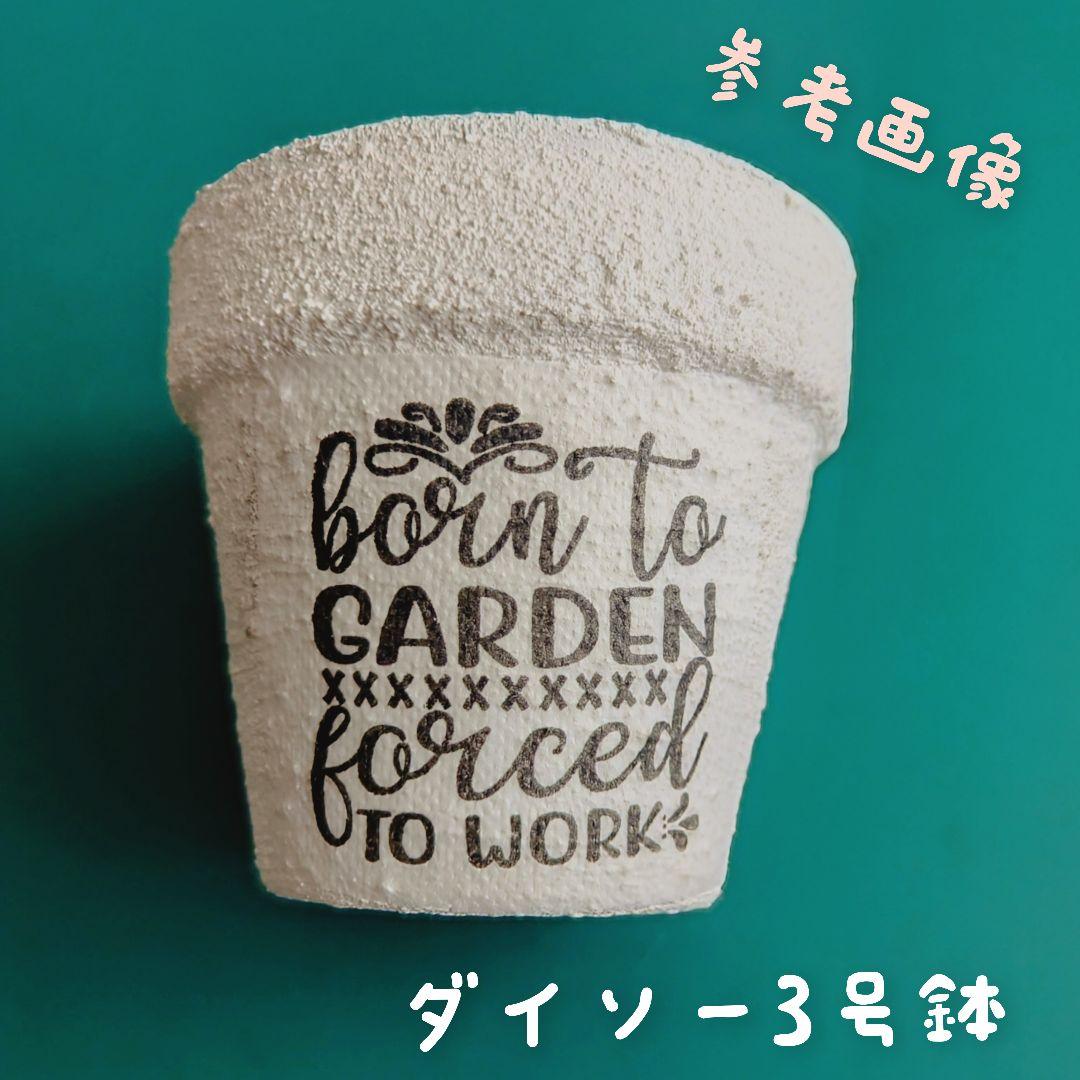 No.G21 GARDEN 英字英文 ペーパーナプキン デコパージュ 素材