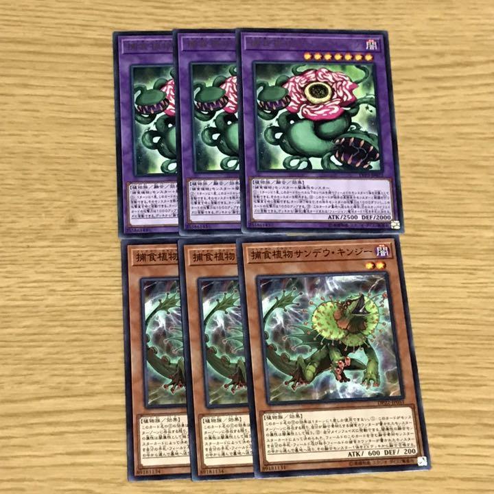 メルカリ 遊戯王 捕食植物キメラフレシア 750 中古や未使用のフリマ メルカリ 遊戯王 捕食植物キメラフレシア 750 中古や未使用のフリマ
