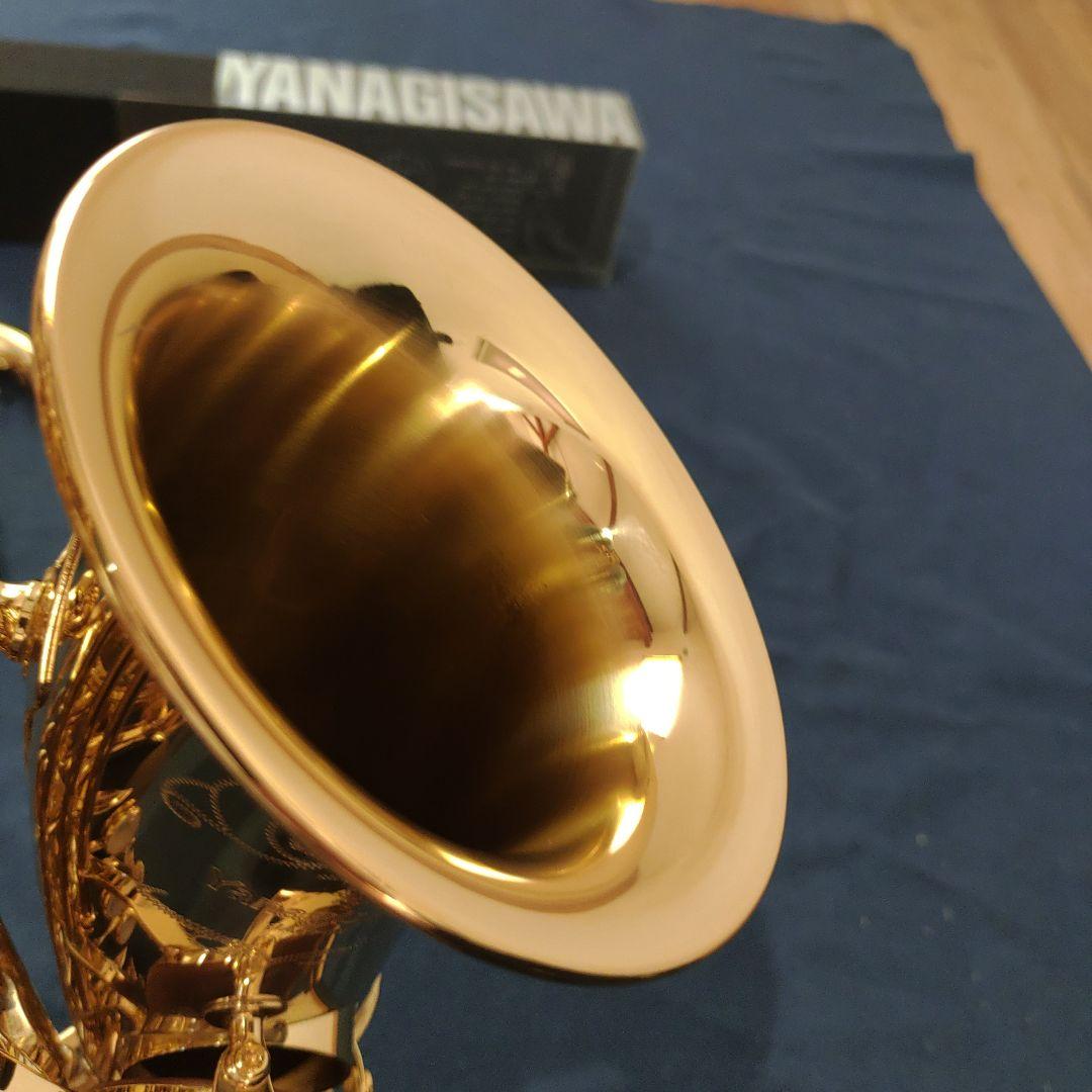 YANAGISAWA ヤナギサワアルトサックス　AWO10