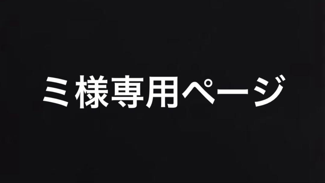 ミ様 専用ページ プリズムスモーク フロントのみ