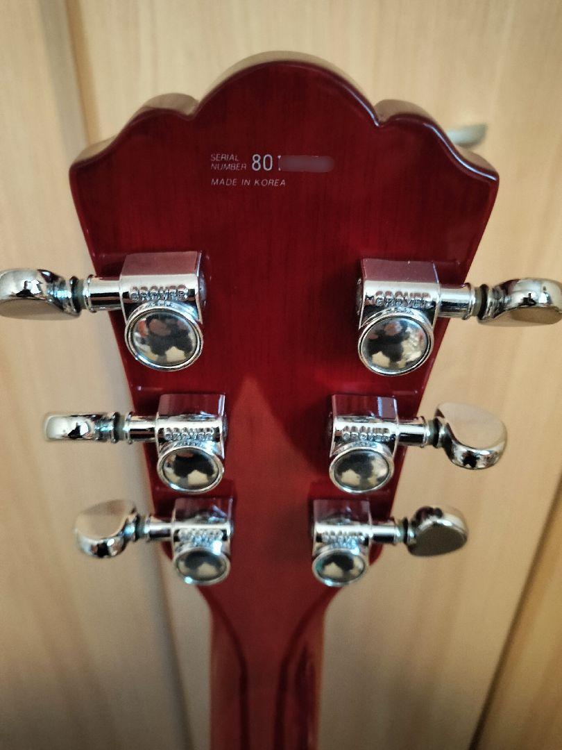 Washburn P2 ワッシュバーン PⅡ ヌーノ G&Lギグバッグ付