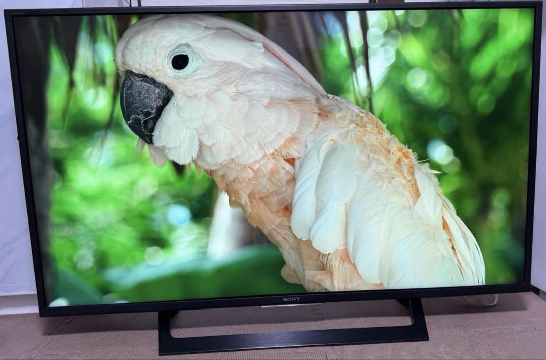 ソニーKJ-49X7000D 49型 ⭕️4K ゲームAndroidスマートテレビ Amazon | ソニー 49V型 液晶 テレビ ブラビア KJ-49X7000D 4K