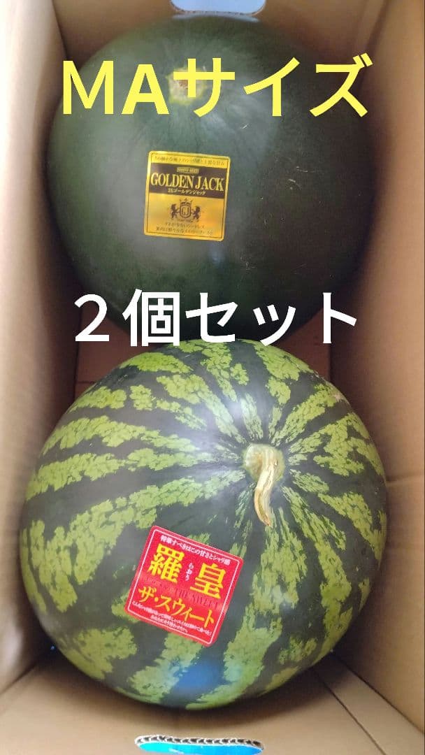 ゴールデン・ジャックと羅皇ザ.スウィートすいかセットMAサイズ2個入り
