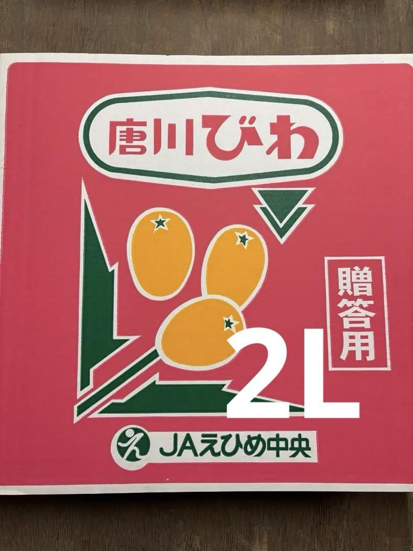 超希少！【贈答用】唐川ビワ 2Lサイズ６個入り×６パック