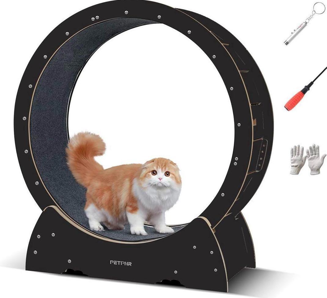 PETPNR キャットホイール 猫 猫用トレッドミル ランニングホイール