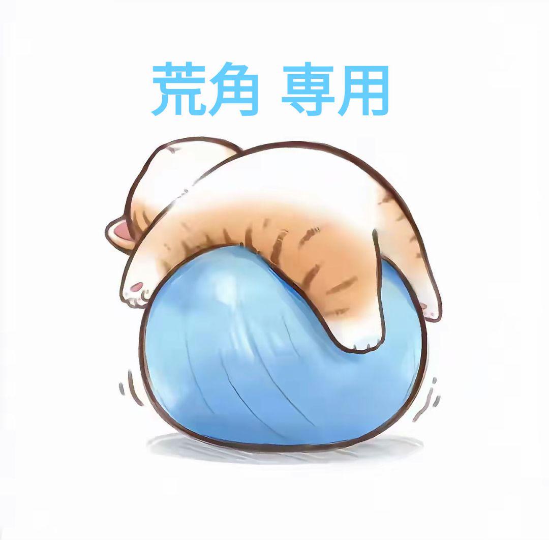 ss（プロフ必読） ss(プロフィールを一読ください) 専用 - メルカリ