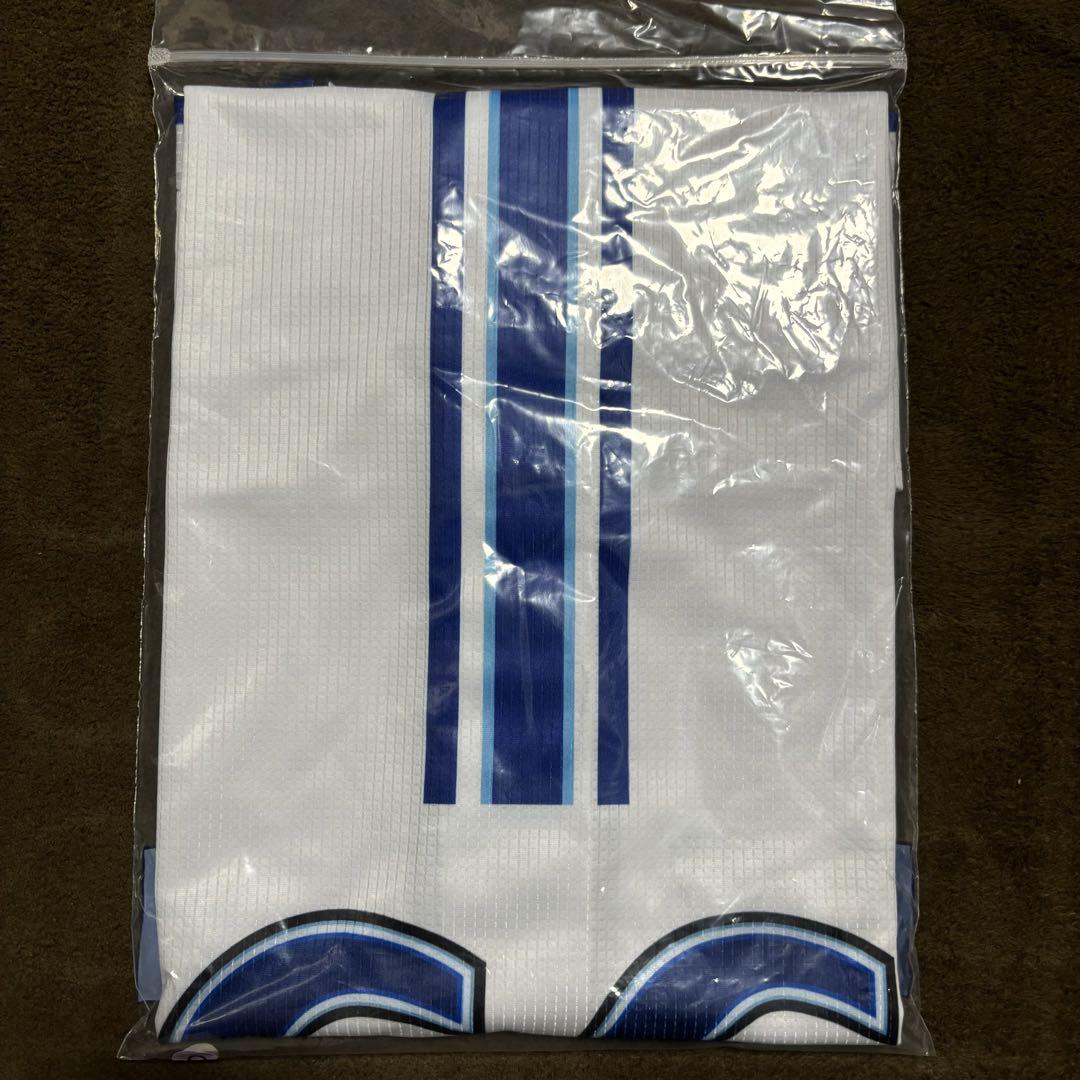 横浜DeNAベイスターズ 横浜ベイスターズ 中川颯 颯 53 ハイ