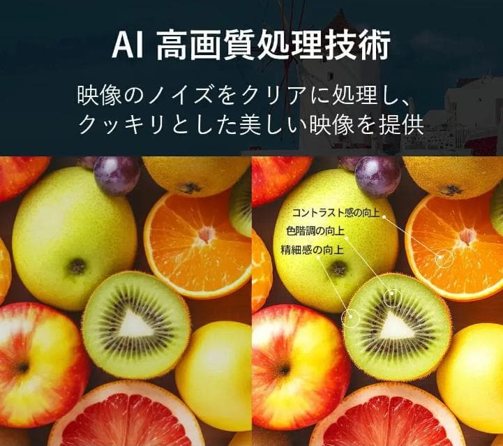 【公式】PHILIPS チューナーレステレビ PUH7169 50型 【公式】PHILIPS チューナーレステレビ PUH7169 50型