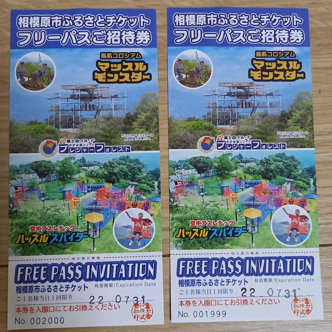 さがみ湖リゾートプレジャーフォレスト　フリーパス2枚