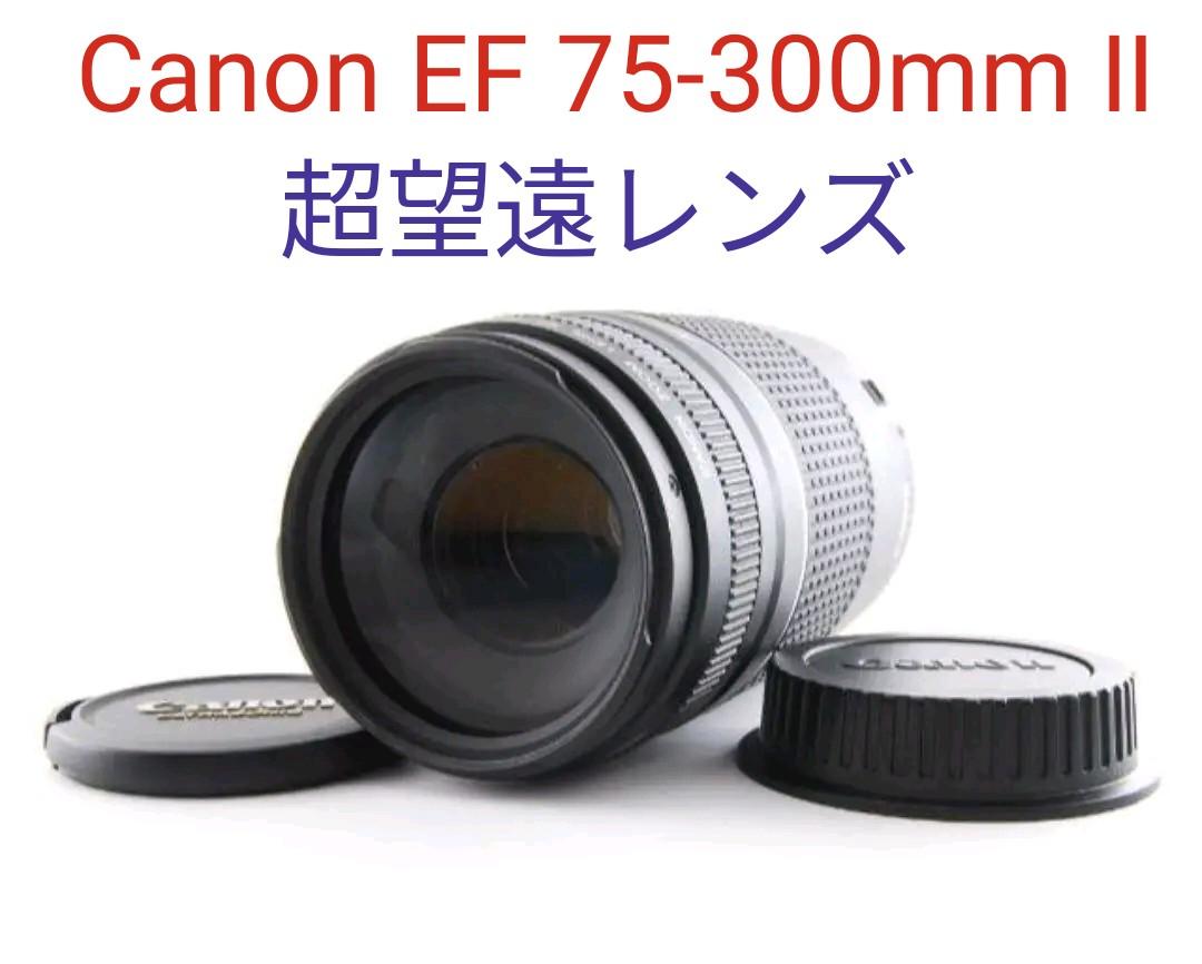 ホワイト系,キヤノンEFマウント国産品 6月30日限定♪Canon EF 75-300mm II 超望遠レンズ レンズ(ズーム) 家電・スマホ・カメラホワイト系キヤノンEFマウント¥9,630-www.ttpexpress.com ホワイト系,キヤノンEFマウント国産品 6月30日限定♪Canon EF 75-300mm II 超望遠レンズ レンズ(ズーム) 家電・スマホ・カメラホワイト系キヤノンEFマウント¥9,630-www.ttpexpress.com