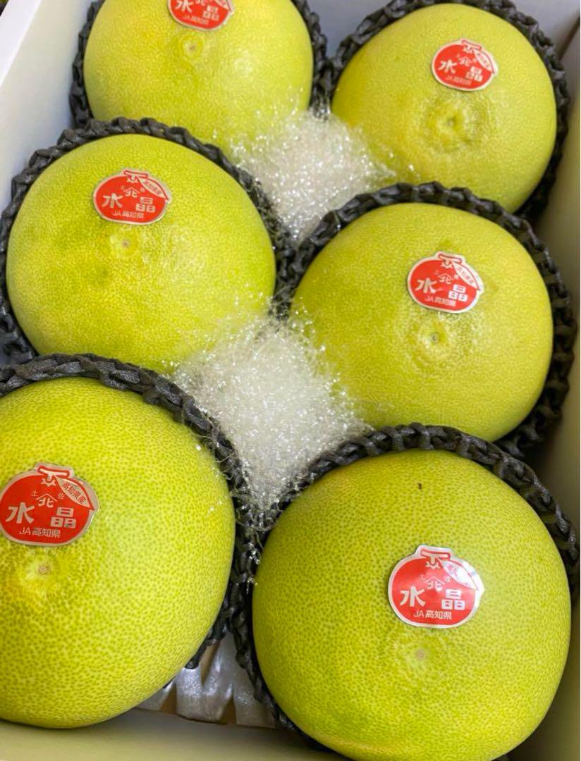 21高知特産 水晶文旦 大玉 7～6玉入 5kg 専用化粧箱 文旦