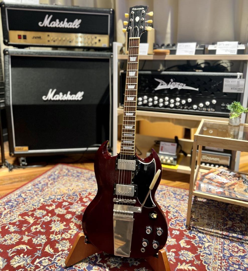 EDWARDS E-SG-110LT2/VT Mod 楽器・機材 EDWARDS E-SG-110LT2/VT Mod 楽器・機材