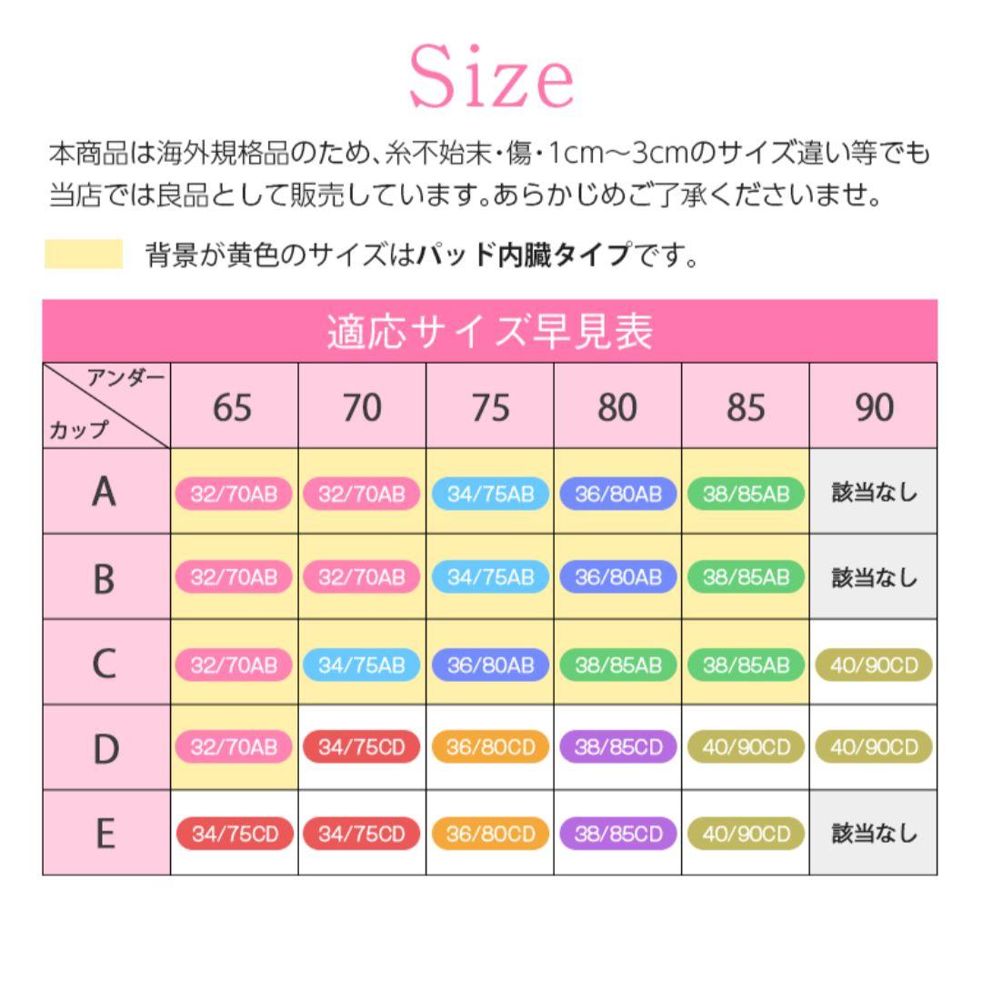 脇高ブラジャー　セット