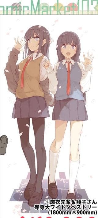 Ntype 青ブタ 10周年記念　タペストリー