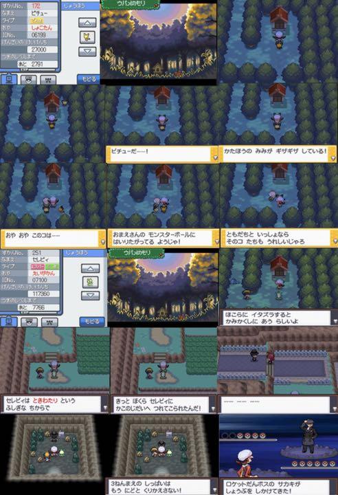 ポケットモンスターソウルシルバー 贅沢