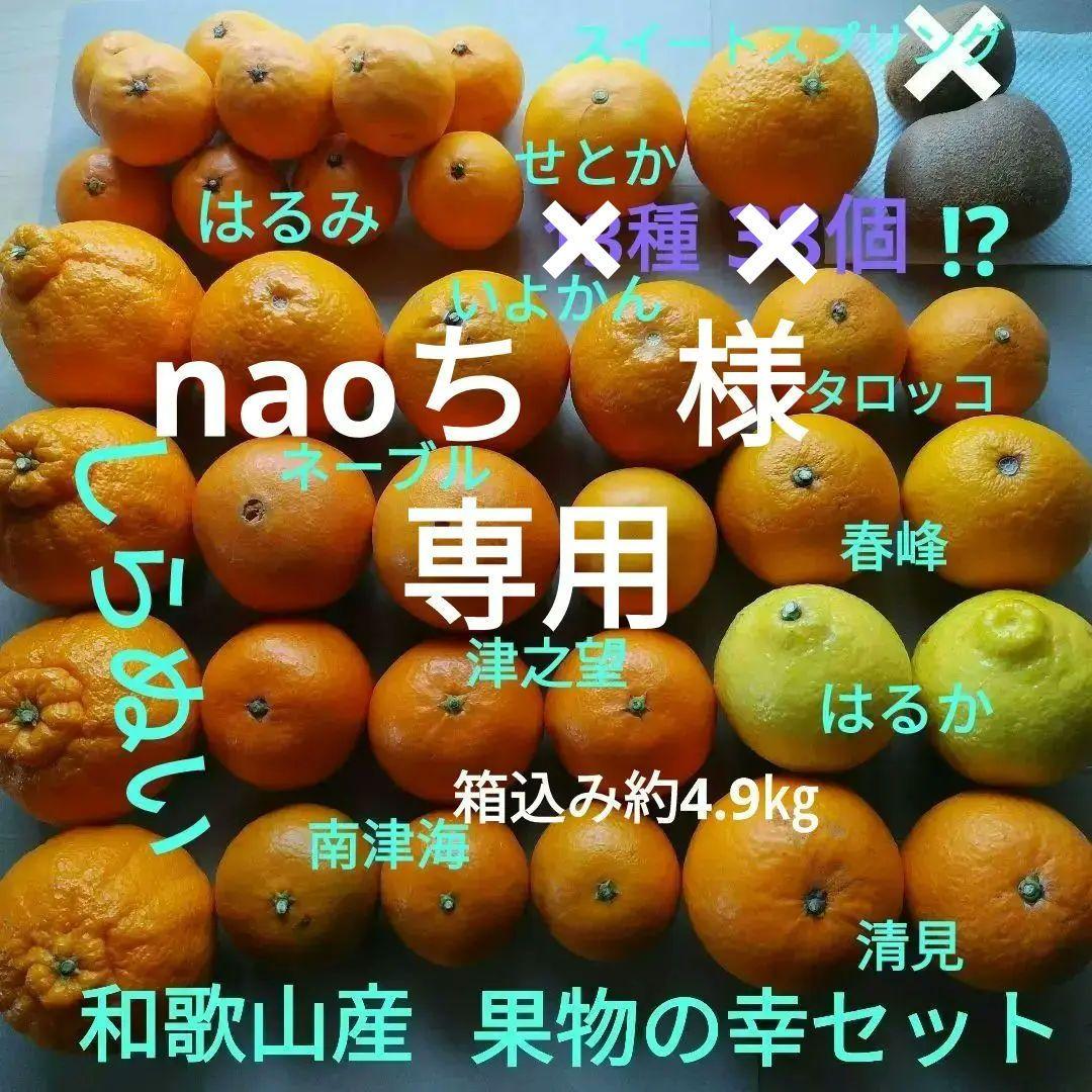 和歌山産 果物の幸セット 約4.9㎏13種 計38個 80サイズ ご家庭用　柑橘果物