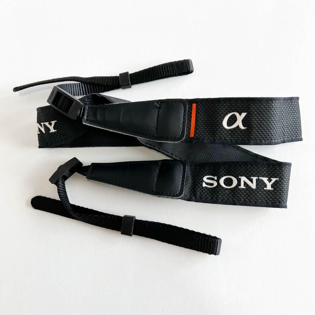 SONY α6000＋単焦点レンズ1本 シャッター回数少